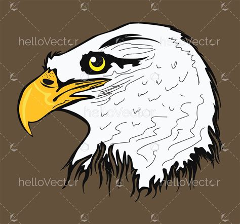 Bald eagle head vector - Download Graphics & Vectors