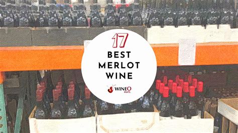 17 Best Merlot Wine Under $30 | Under $50 | Most Underrated