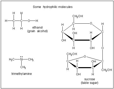 Chapter 10 – Solutions