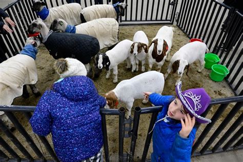 National Western Stock Show in Denver Opening Day 2023 photos