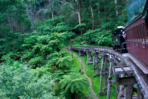 puffing-billy-steam-train