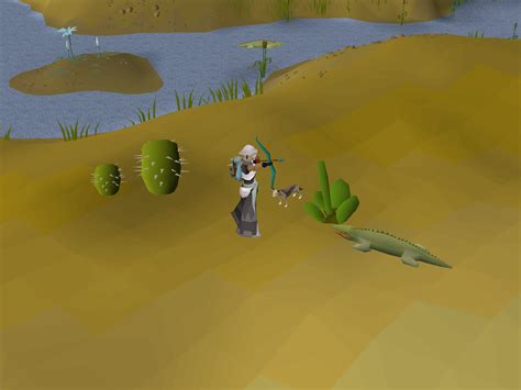 Crocodile - OSRS Wiki