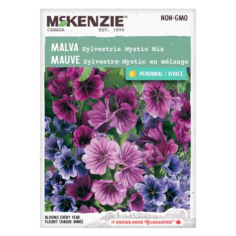 Malva Seeds, Sylvestris Mystic Mixture – McKenzie Seeds