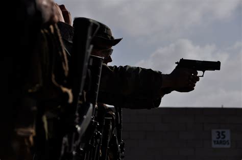 Photo : seal with sig sauer pistol