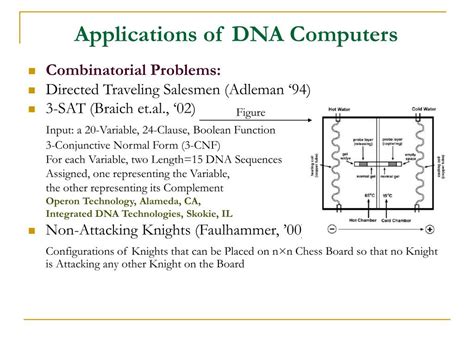 PPT - Coding for DNA Computing: Combinatorial and Biophysical Aspects PowerPoint Presentation ...