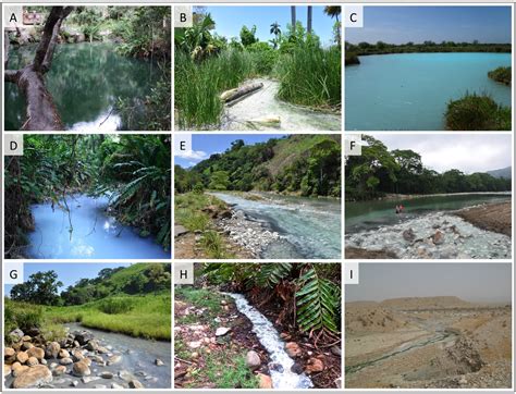 Diversity | Free Full-Text | Patterns of Macroinvertebrate and Fish Diversity in Freshwater ...