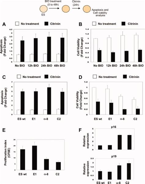 Effects of citrinin in BIO-treated ESCs and ES-β-catenin clones. (A,... | Download Scientific ...