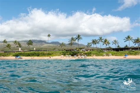 🏝 All 15 Kihei Beaches Explained: The Ultimate 2024 Guide ⋆ We Dream of Travel Blog