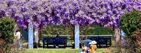 Old Parliament House Gardens Self-Guided Walking Tour | National ...