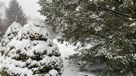 Live updates: Winter storm moves across central Pennsylvania | Centre ...