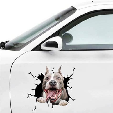 Dog Car Stickers (BUY 1 GET 1 FREE) | asghedom.com