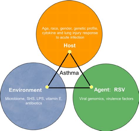 Components of Epidemiology Triangle - engelonMcintyre