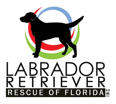 Labrador Retriever Rescue Dog - 4 086 æ¬¡èµž 15 æ ¡è¯„è®º Labrador ...