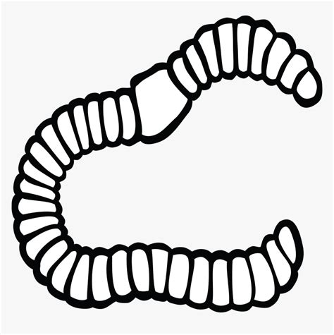 Earthworm Black And White Clipart Clipart Best Clipart Best | Images and Photos finder