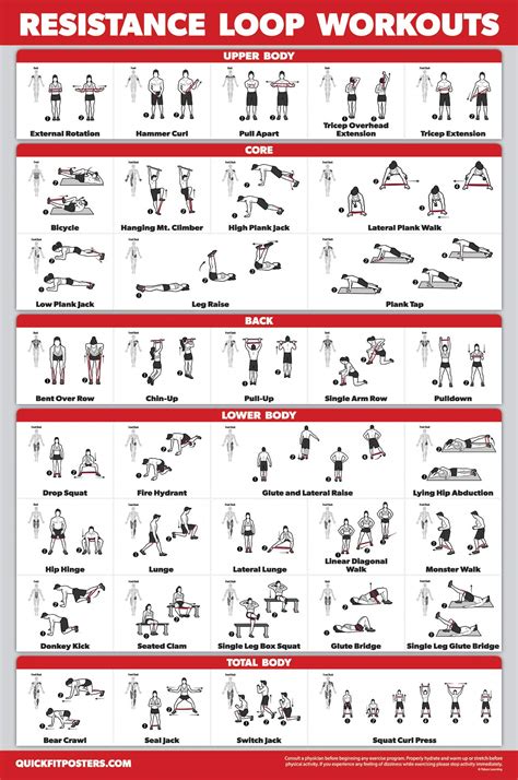 Buy QuickFit Resistance Loop Bands Workout - LAMINATED - Exercise Chart for Resistance Band ...