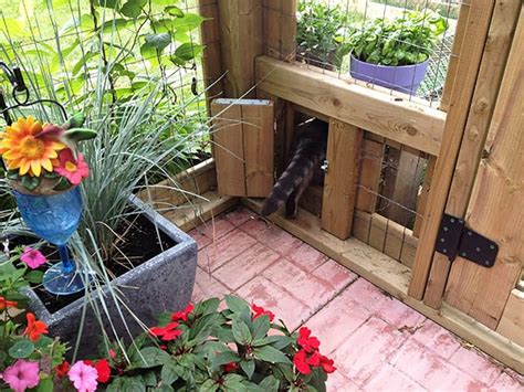 9 Free DIY Catio Plans