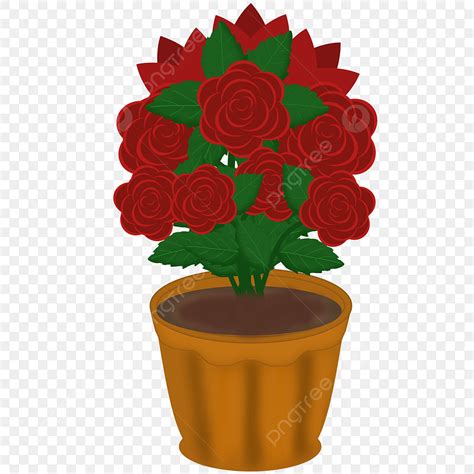Bloomed Rose Clipart PNG Images, A Red Rose Blooming In Pot, Plant ...