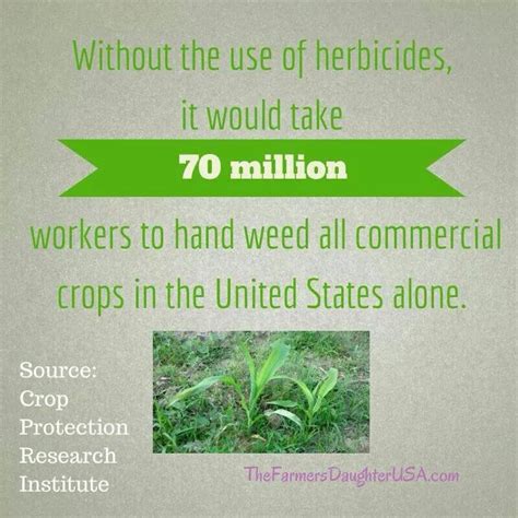 We need herbicides. | Crop protection, Herbicides, Farm