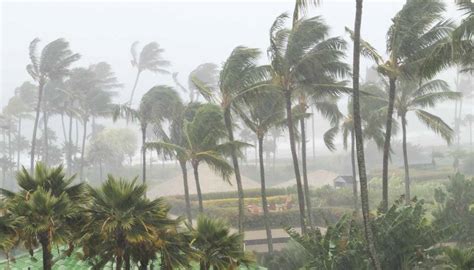 The Deadliest Storm in History: The Great Bhola Cyclone - Weather Pro Live