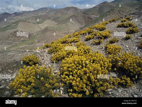 Rif mountains, Morocco Stock Photo - Alamy