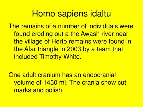 PPT - Homo sapiens sapiens PowerPoint Presentation, free download - ID:9716872