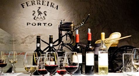 Porto Wine Tour: Discover The Best Wine Cellars