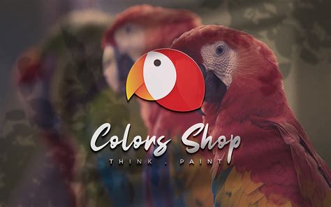 Colors Shop Logo Design on Behance