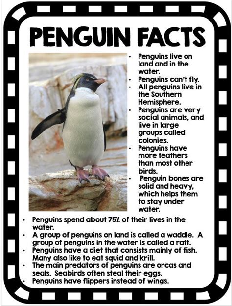 Printable Penguin Facts - prntbl.concejomunicipaldechinu.gov.co