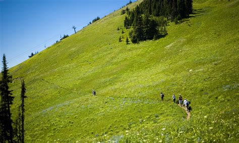 25 Incredible Hiking Trails in British Columbia | Hiking trails, Trail, British columbia