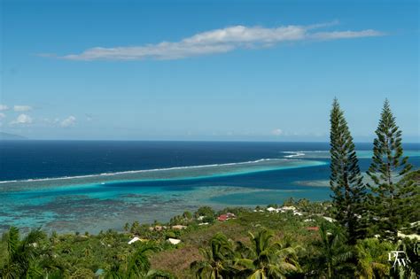 Things To Do In Moorea, The Adventure Island - The Planned Wanderer