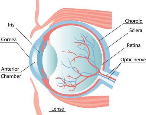 What Eye Conditions Qualify for Laser Treatment in Glen Burnie?