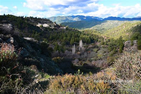 Troodos Mountains 6786 :: Photo