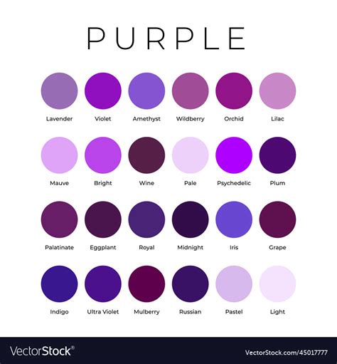 Purple Color Shades Swatches Palette With Names Vector