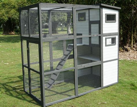 Large Outdoor Cat Enclosure For Sale | Buy Online & Save