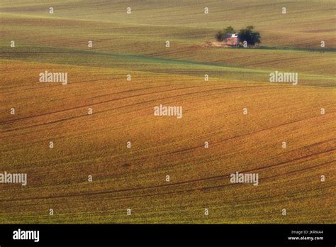 South Moravian fields Stock Photo - Alamy