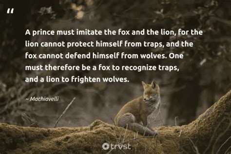 40 Fascinating Fox Quotes about the Clever Canines (2024)