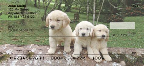 Golden Retriever Personal Checks, Golden Retriever Checks