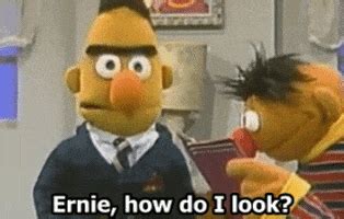 Ernie And Bert GIFs - Find & Share on GIPHY