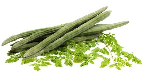 Aneka Tetumbuhan: Kelor (Moringa oleifera)