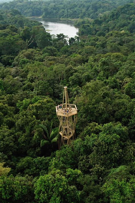 Panama Rainforest Discovery Center / ENSITU | ArchDaily