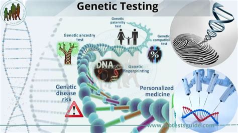 Genetic Testing Types, Purpose, Procedure, Results and Future | Lab Tests Guide