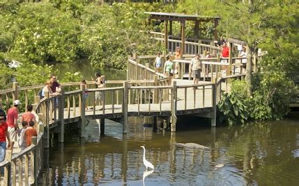 Gatorland Map | Discover Attractions and Navigate the Park