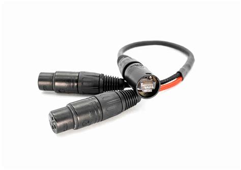 Ethercon to 2 XLR-F Adapter (14 Inch Length) - FEMALE | Pinstripe Pedals