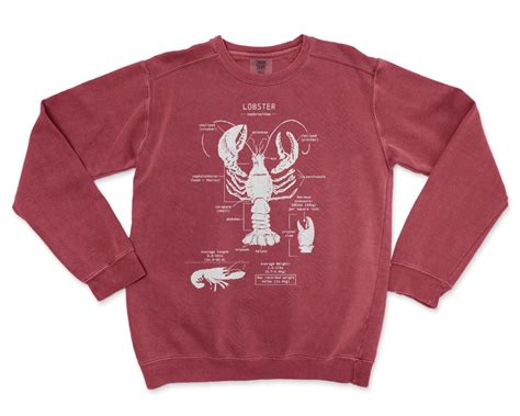 Lobster Anatomy Sweatshirt Lobster Sweatshirt Nautical - Etsy