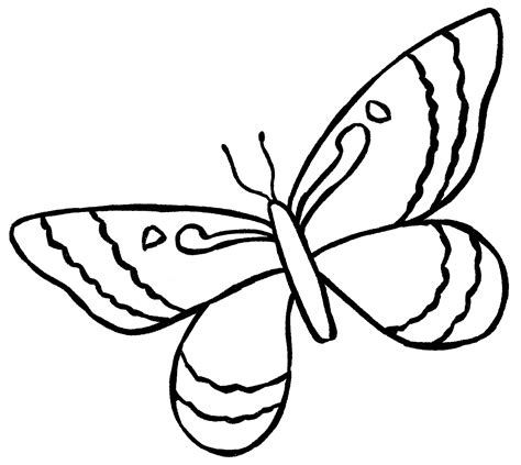 Butterfly Drawing {6 Easy Steps}! - The Graphics Fairy