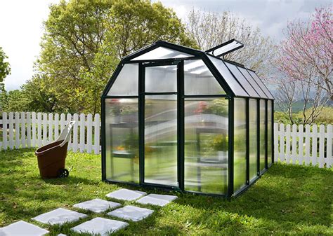 7 reasons to buy a 6x8 greenhouse right now – Greenhouse Hunt