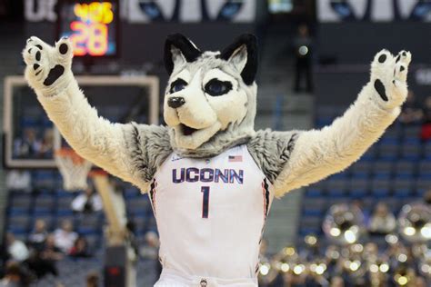 UConn Huskies Roundup - 1/5/17 - The UConn Blog