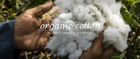 Organic Cotton production Clothing & Fashion | GREEN SHIRTS