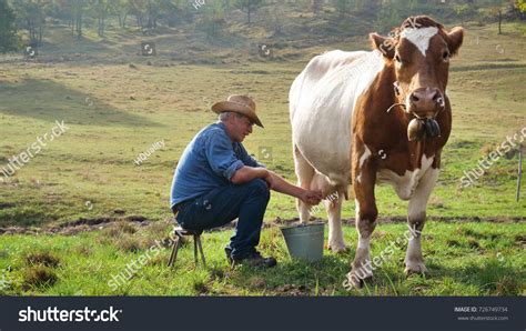 23,294 Milking Cow By Hand Images, Stock Photos, and Vectors | Shutterstock