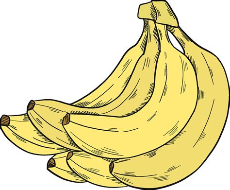 Cliparts Bananas Bunch png images | PNGWing - Clip Art Library
